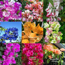 Profile picture for user And_Asad