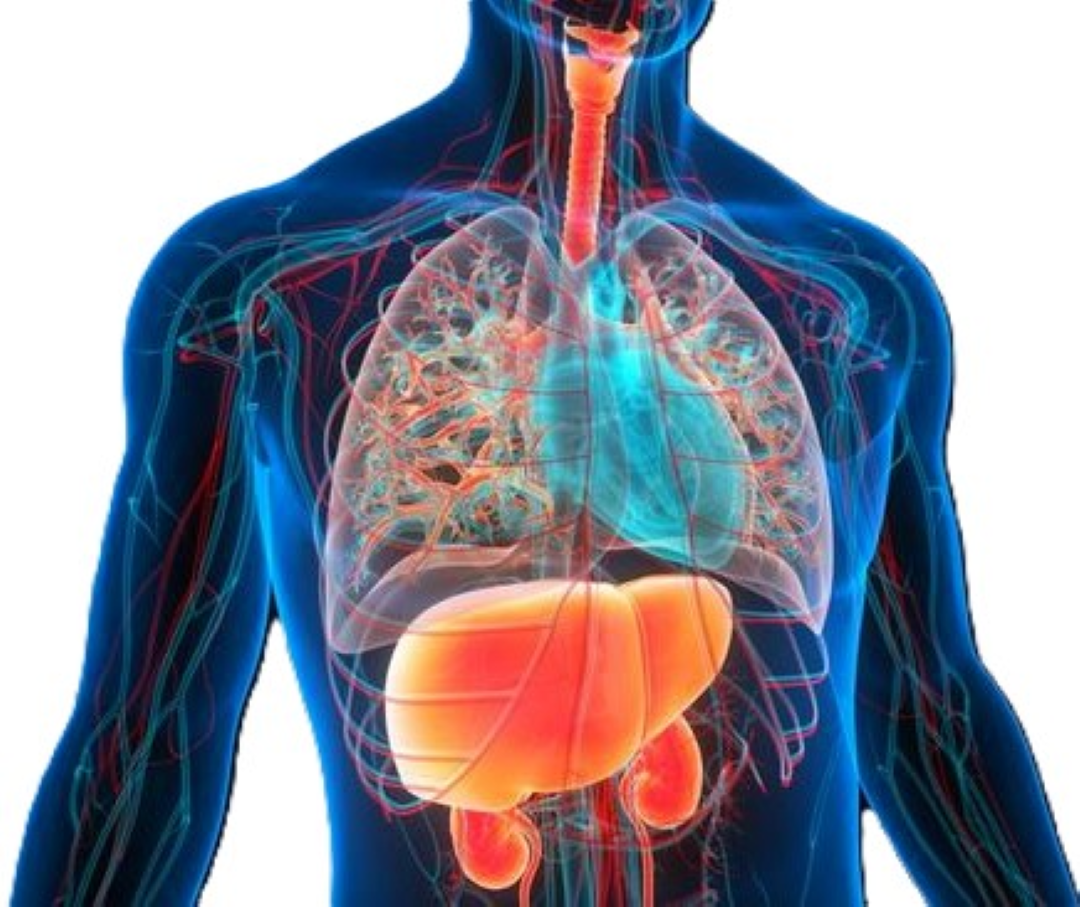 Profile picture for user nuraisyaha