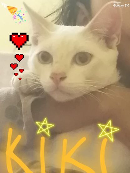 Profile picture for user notiaZ