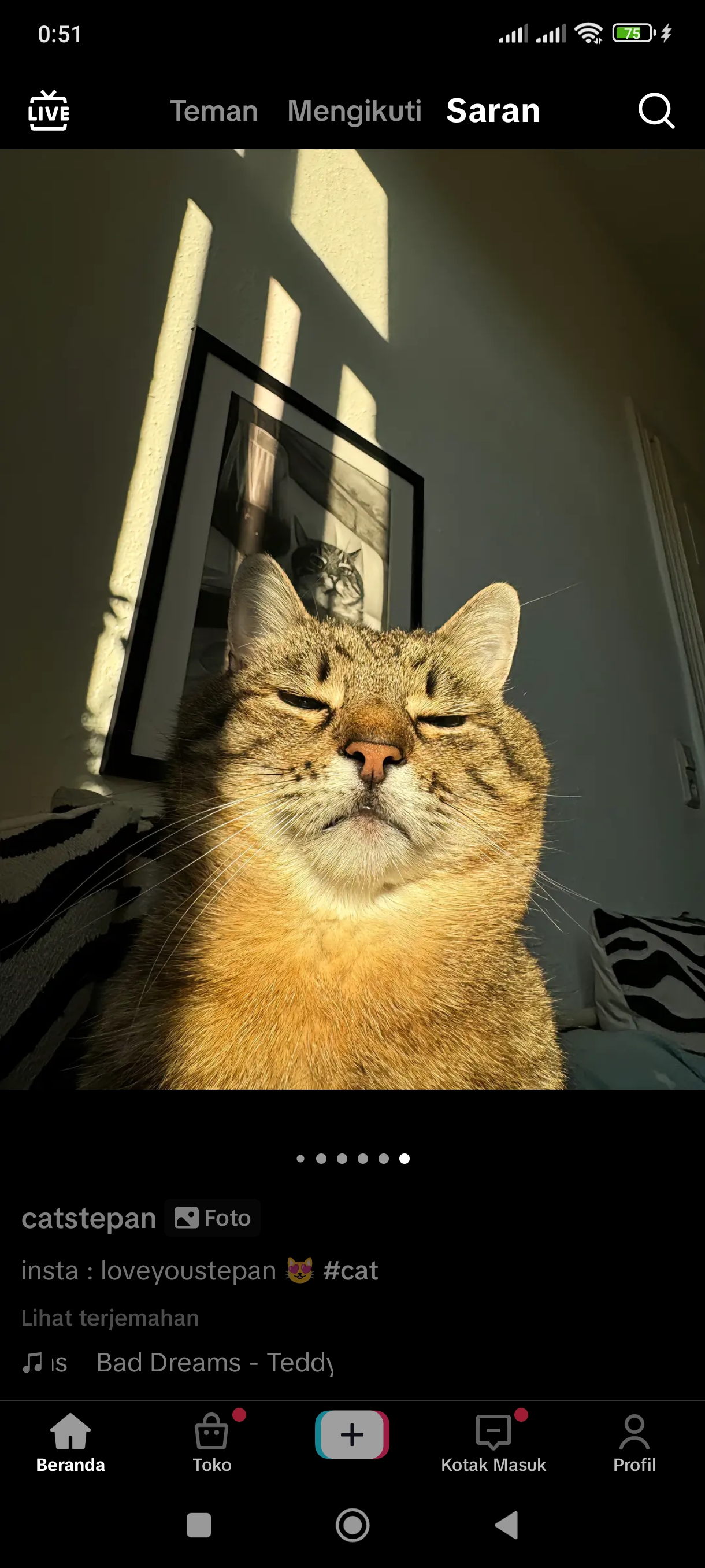 Profile picture for user Nurulapr