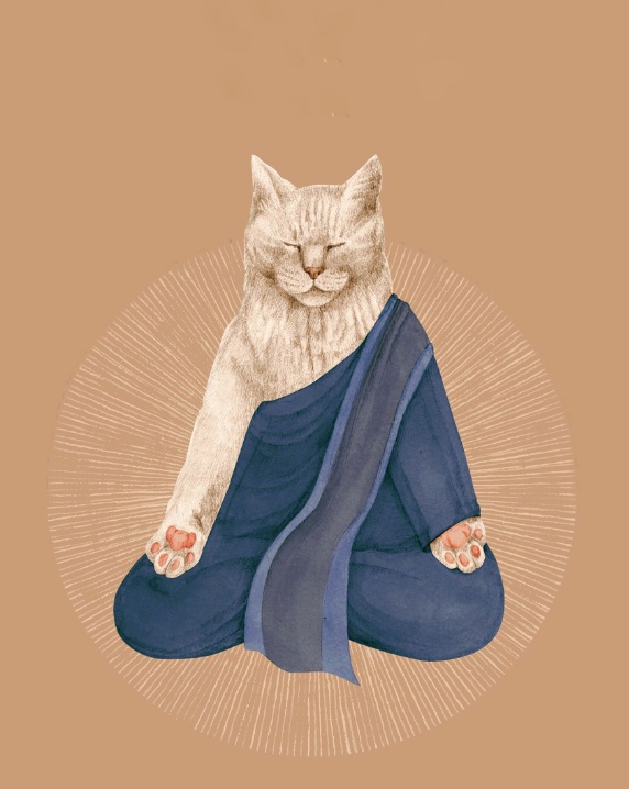 Profile picture for user jjjamshed