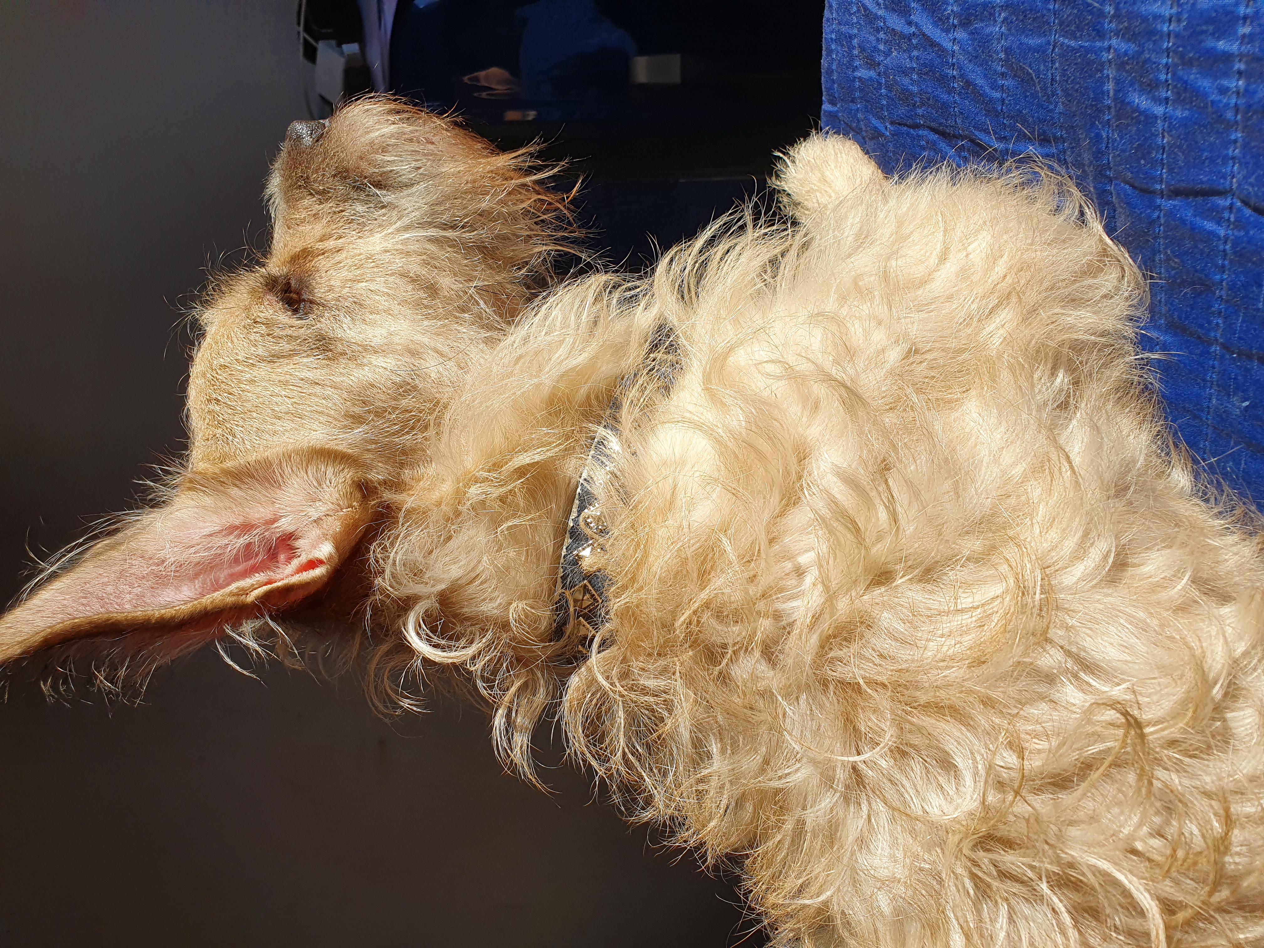 Profile picture for user MrAlex_Dav