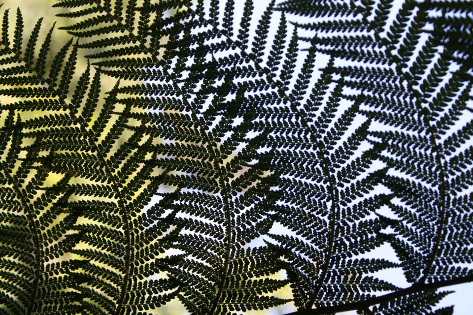 Profile picture for user anadinoutel