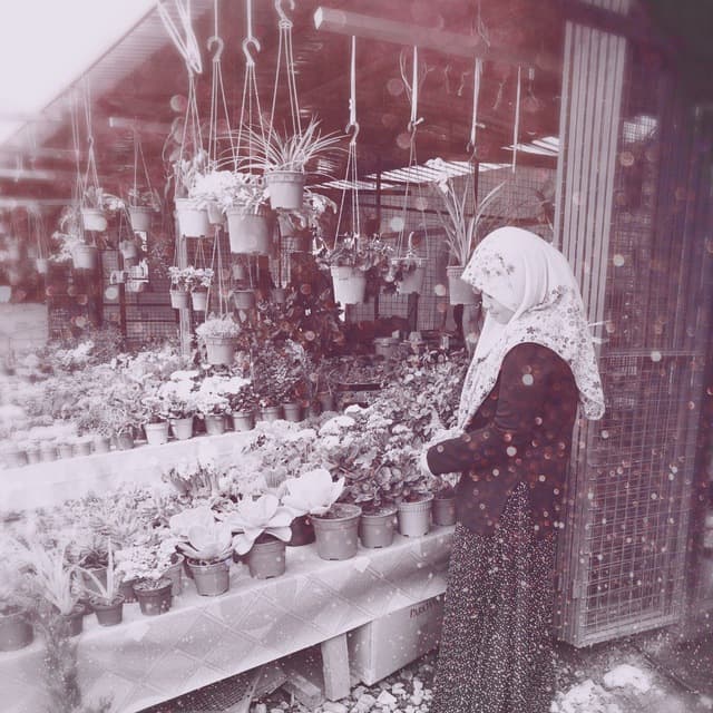 Profile picture for user WAZIE