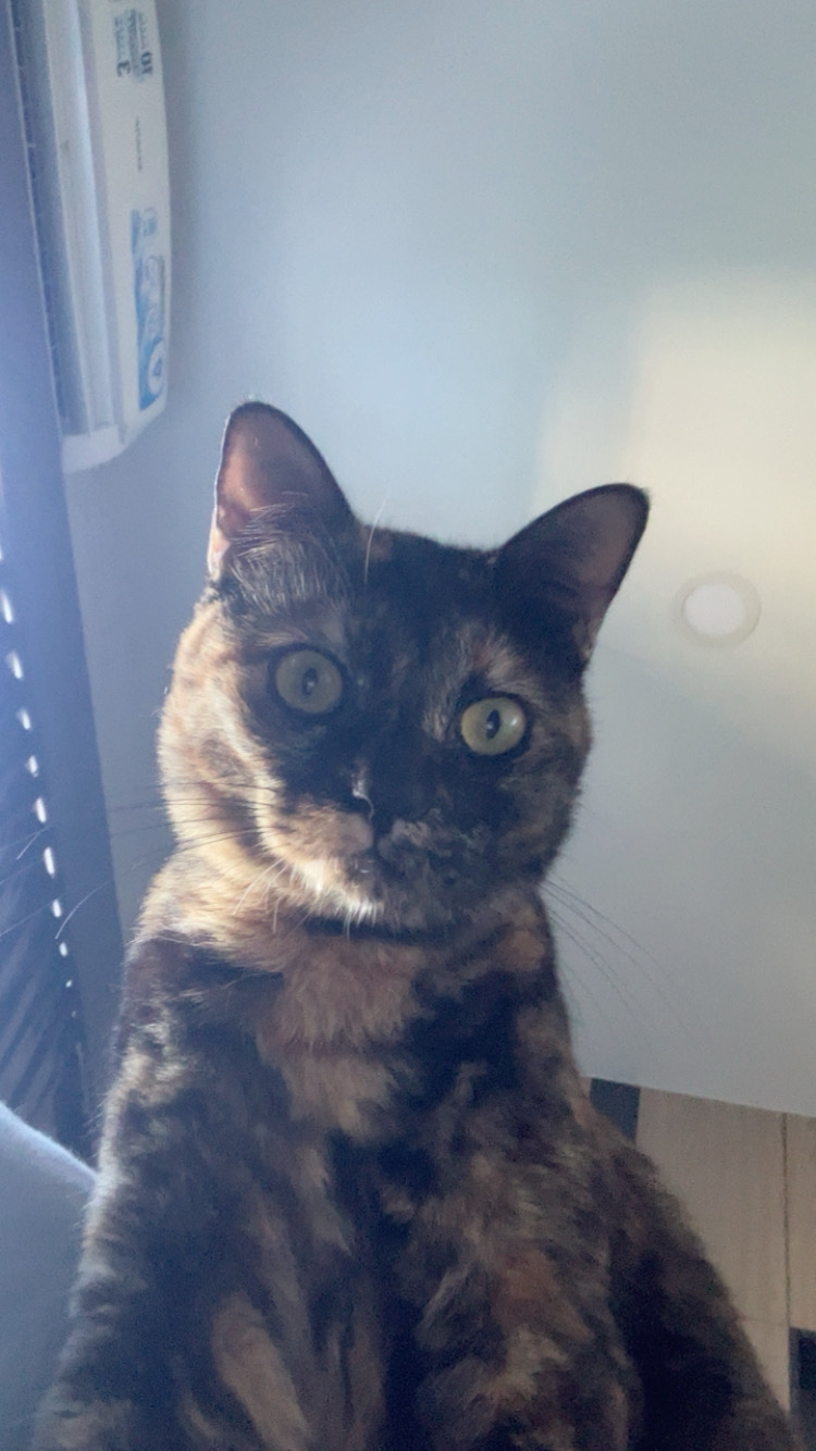 Profile picture for user 641031491