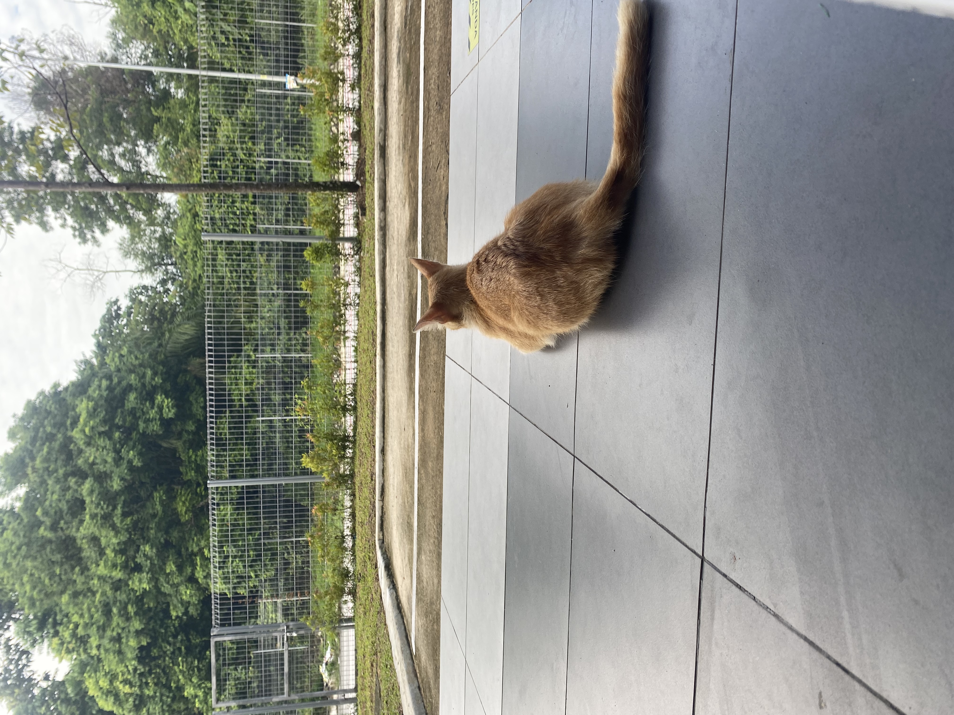 Profile picture for user aliahalee