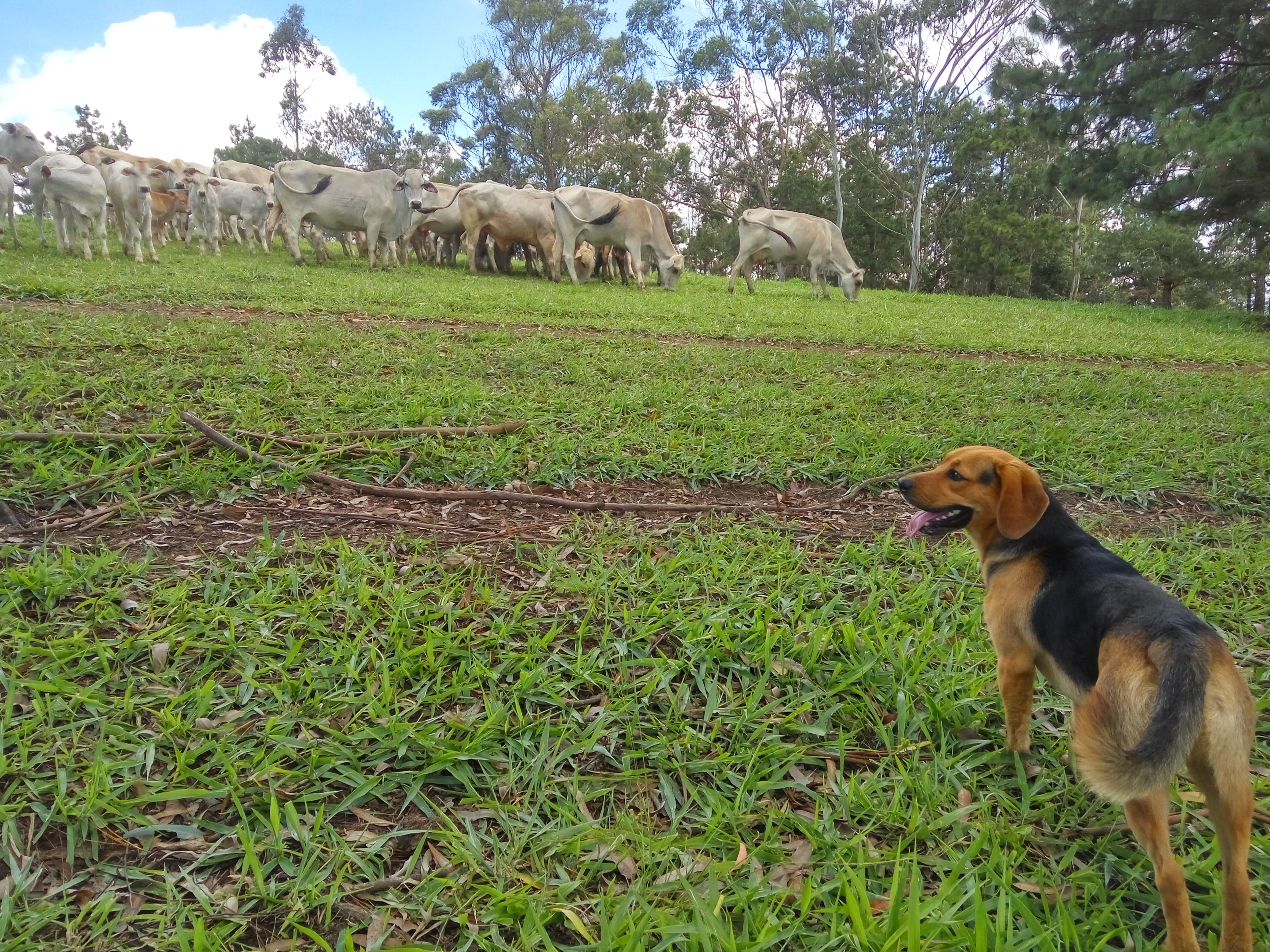 Profile picture for user cojosco