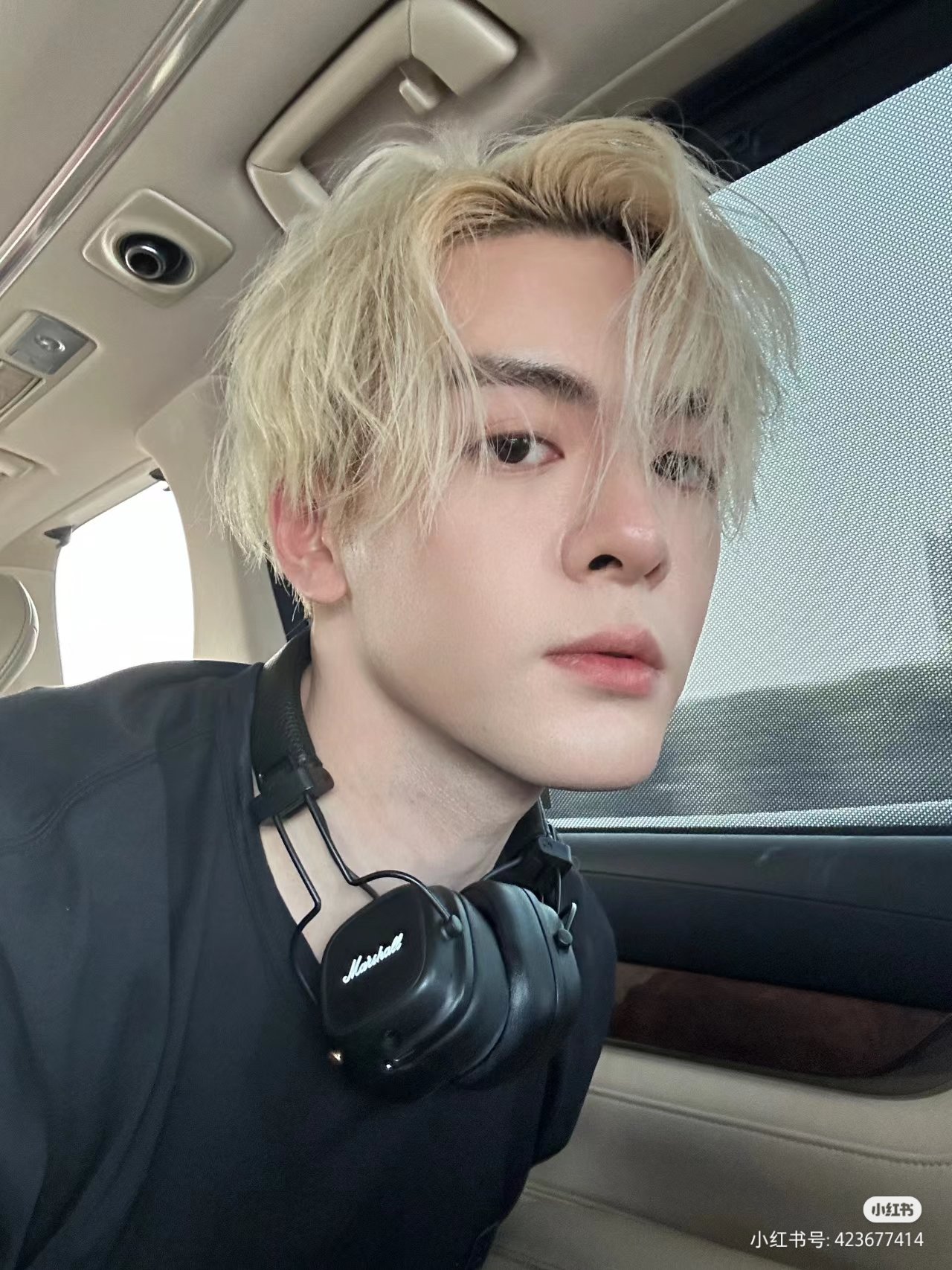 Profile picture for user Lieblingg