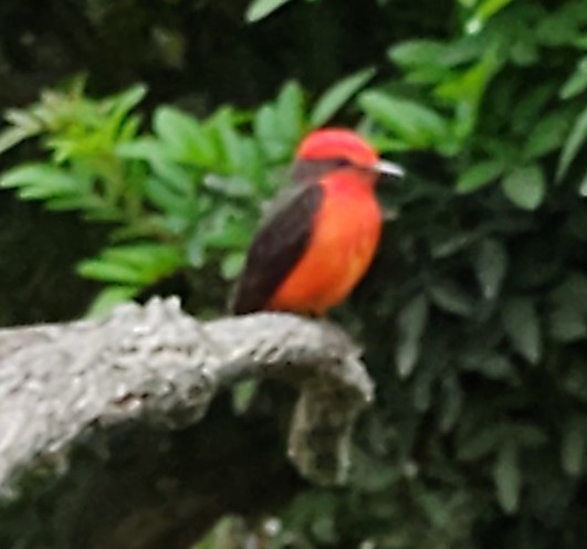 Profile picture for user ECOTURISMO