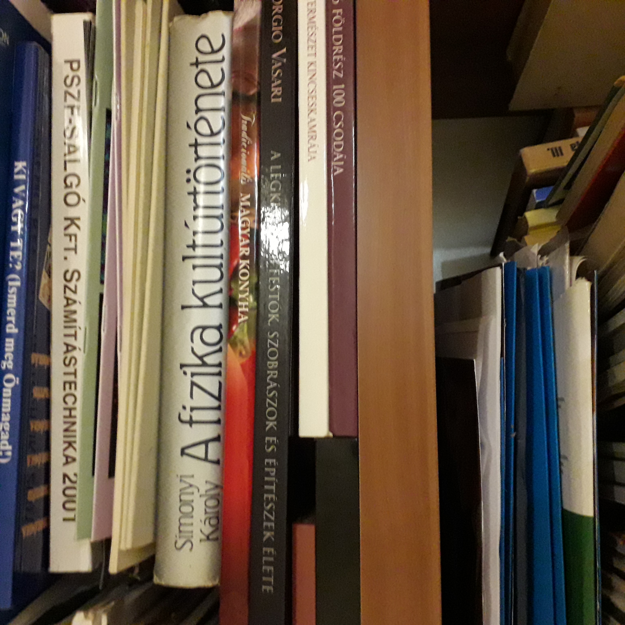 Profile picture for user bamba3