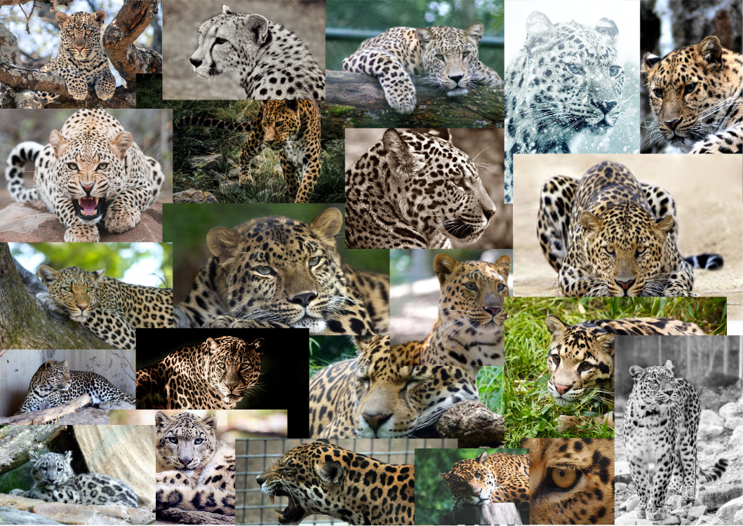 Profile picture for user Elisity