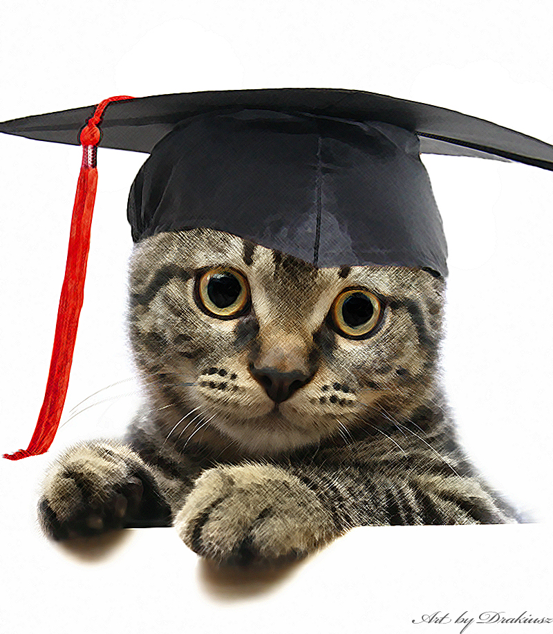 Profile picture for user aisyafatiha_13