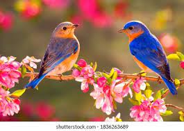 Profile picture for user KGSD