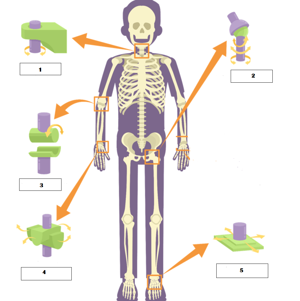 Profile picture for user Yupan