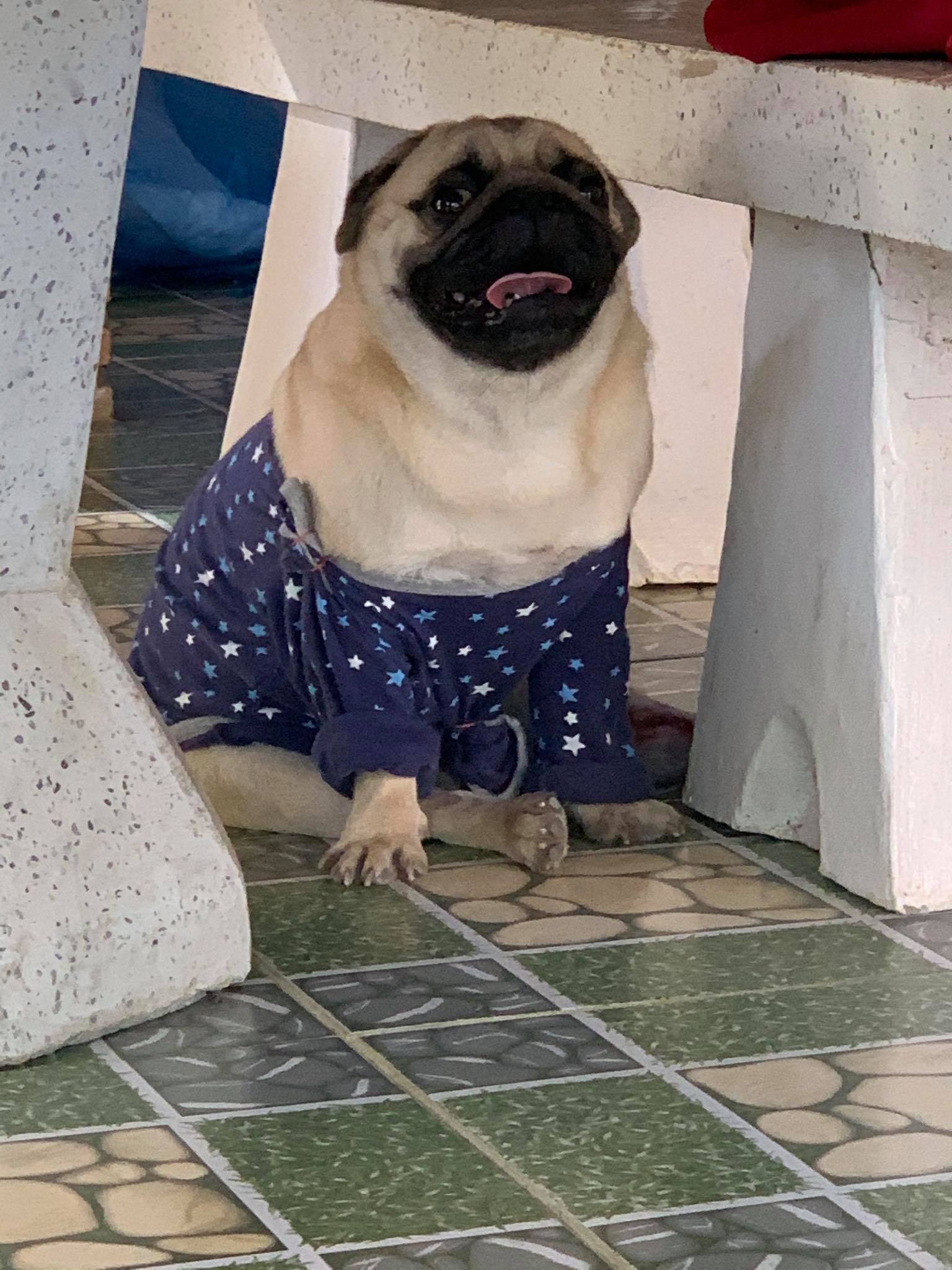 Profile picture for user Kru_AunAun