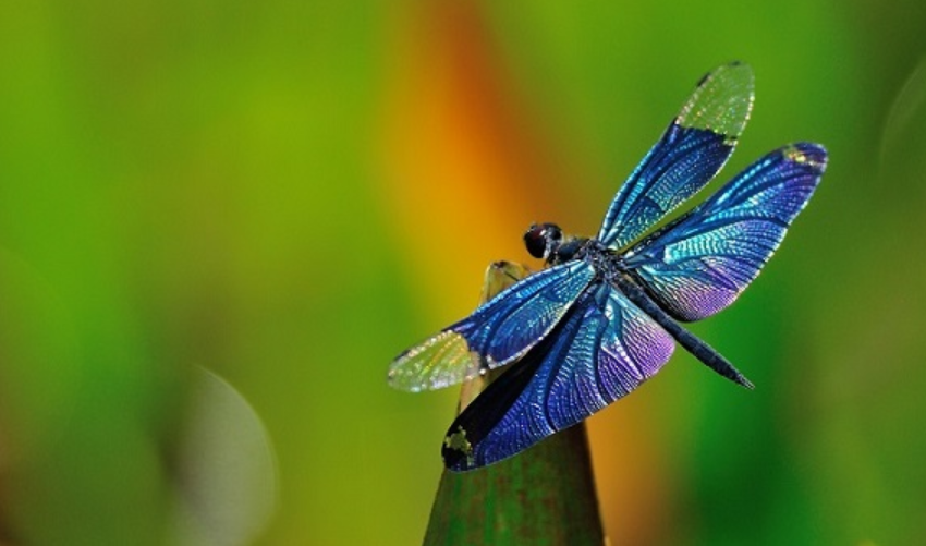 Profile picture for user agezala