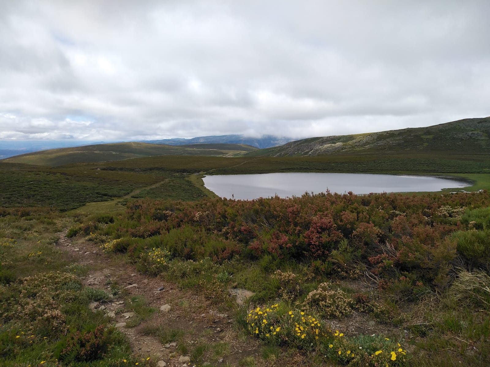 Profile picture for user marcosdurancampos