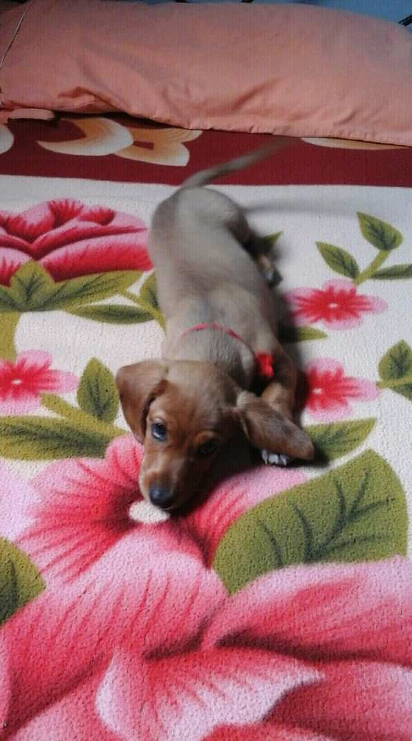 Profile picture for user Ariana_pv