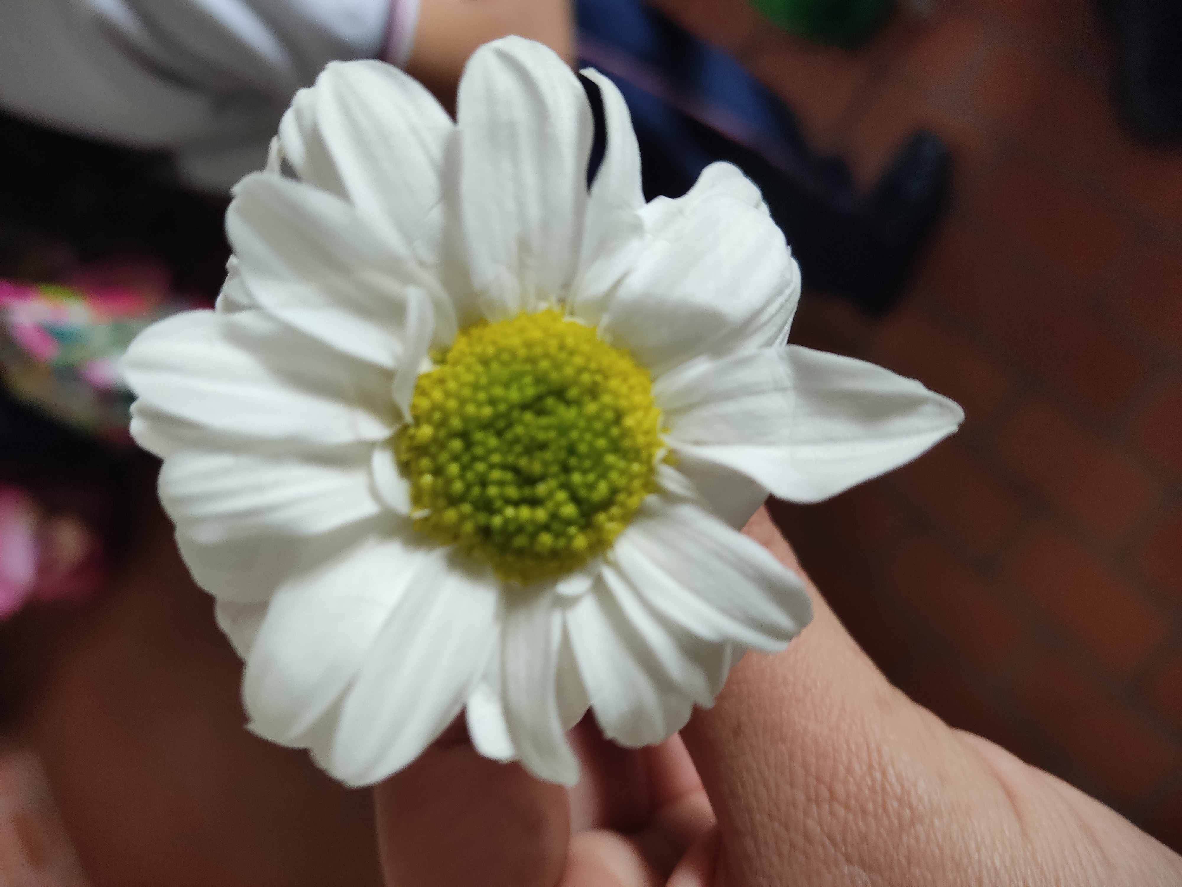 Profile picture for user Francy20203012