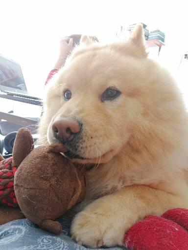 Profile picture for user LindaJuseth