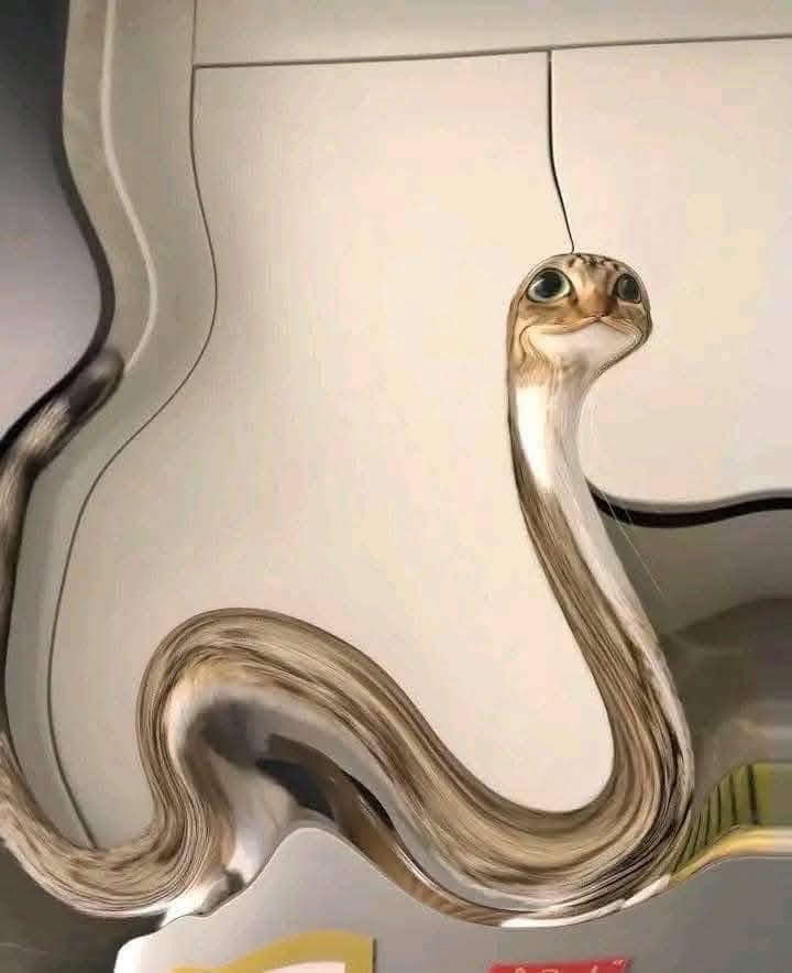 Profile picture for user ppanispp