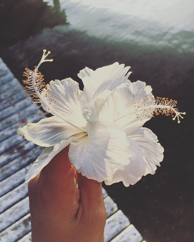 Profile picture for user c27gf