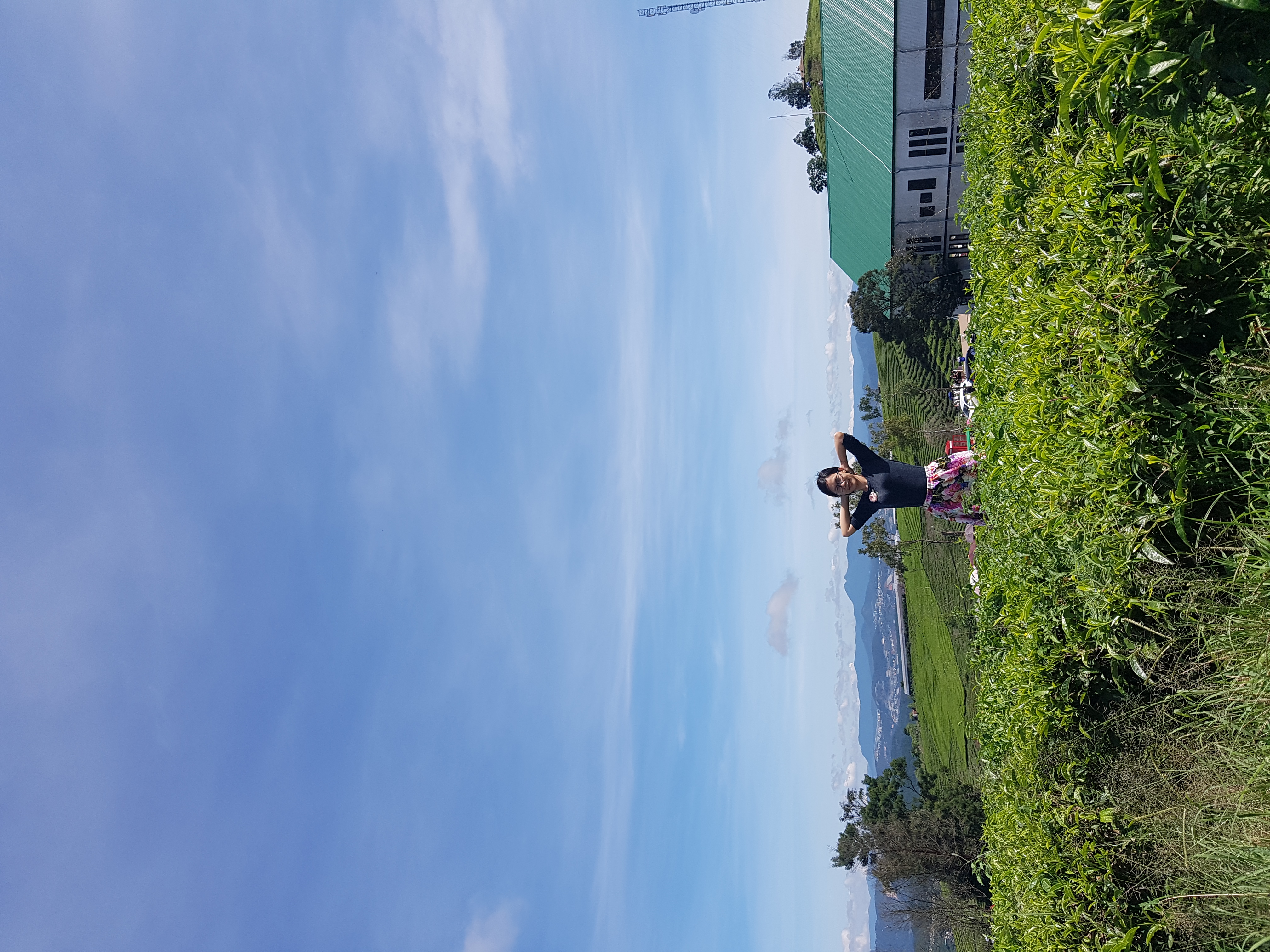 Profile picture for user ThuyDori