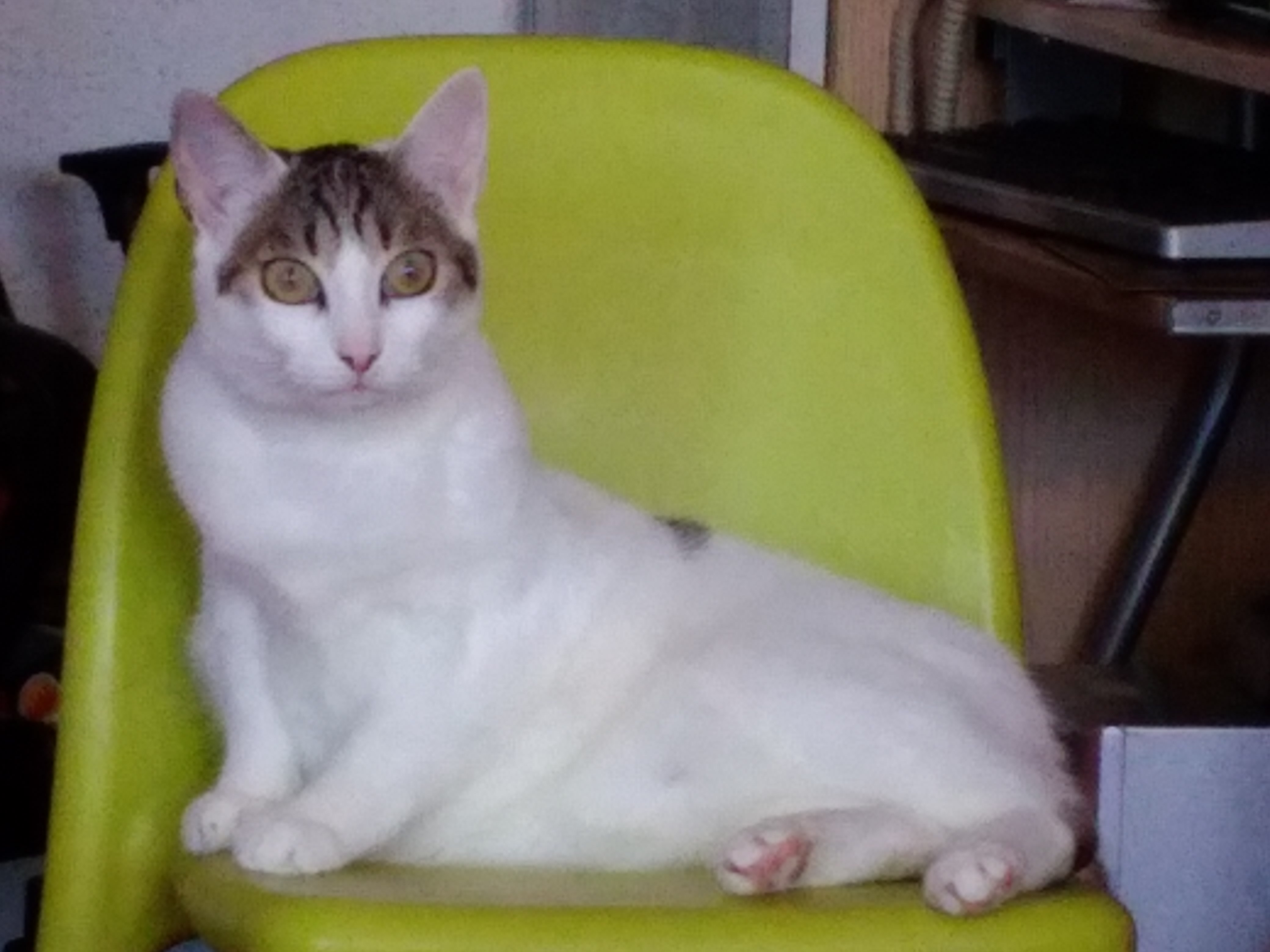 Profile picture for user Galama23