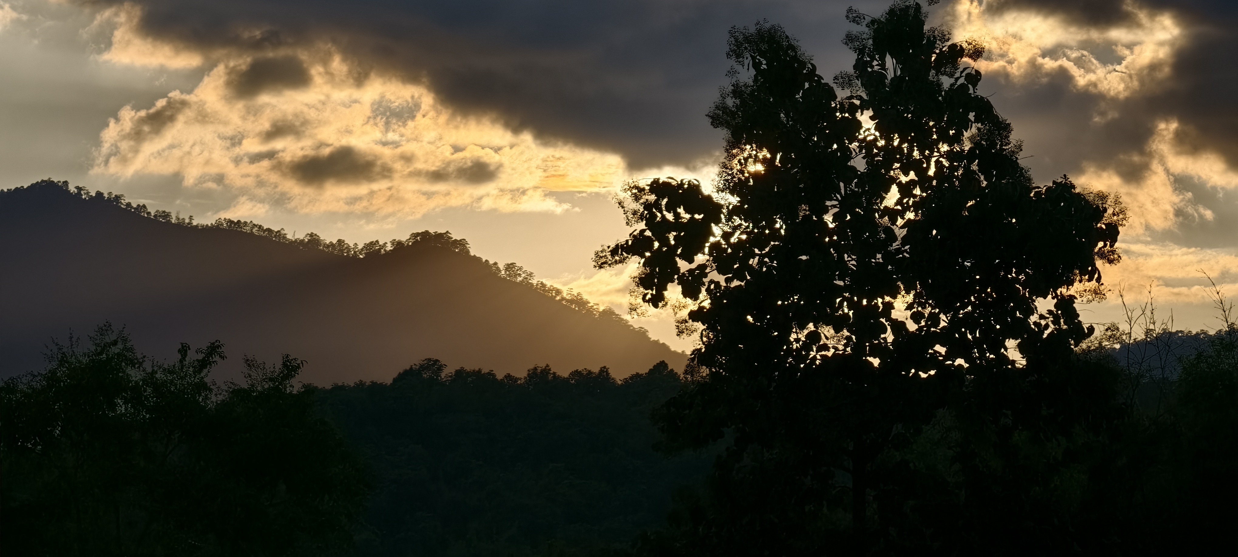 Profile picture for user Nanazani13