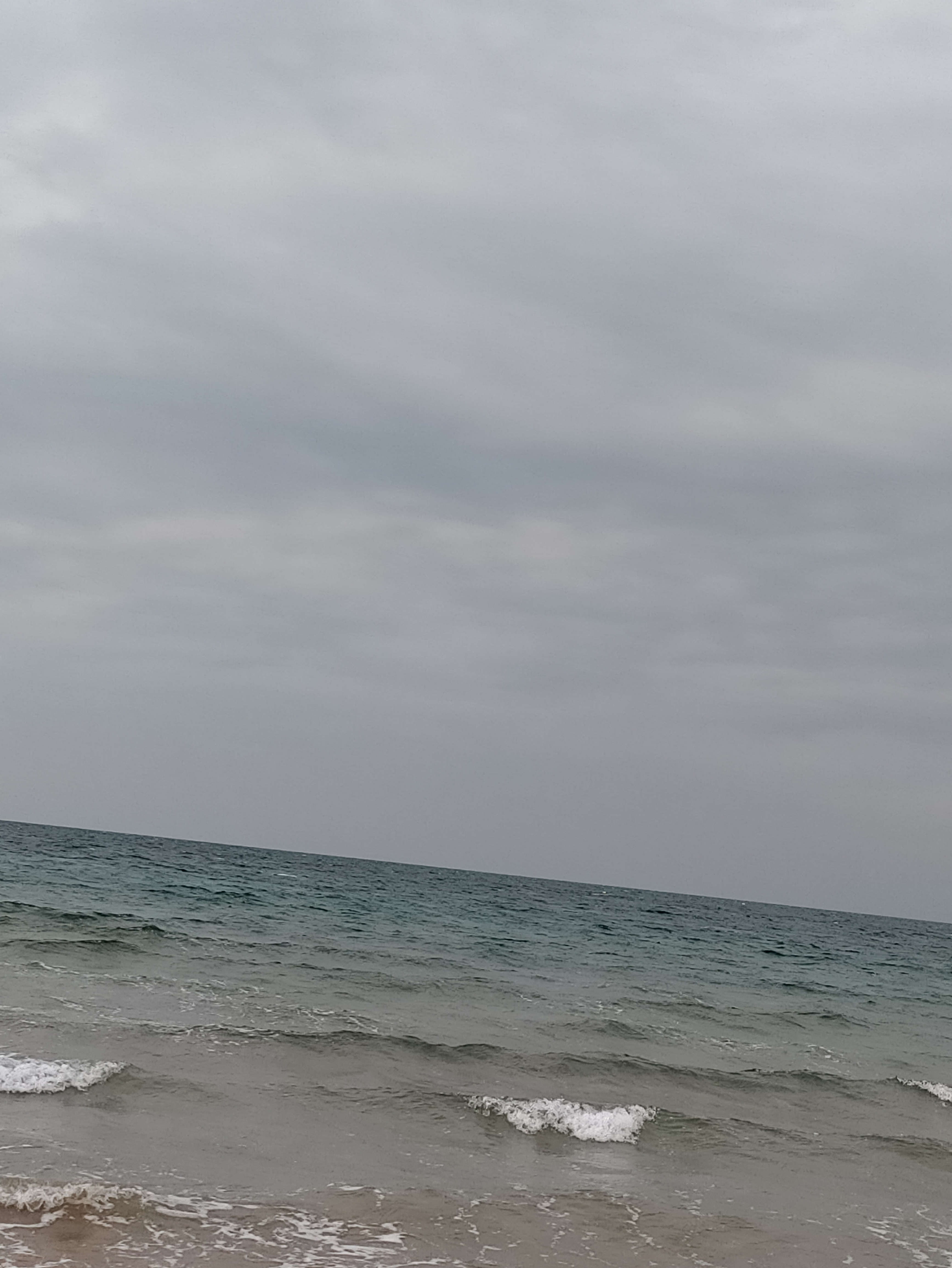 Profile picture for user memosha