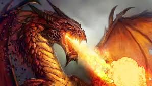 Profile picture for user PatriciaBernarda