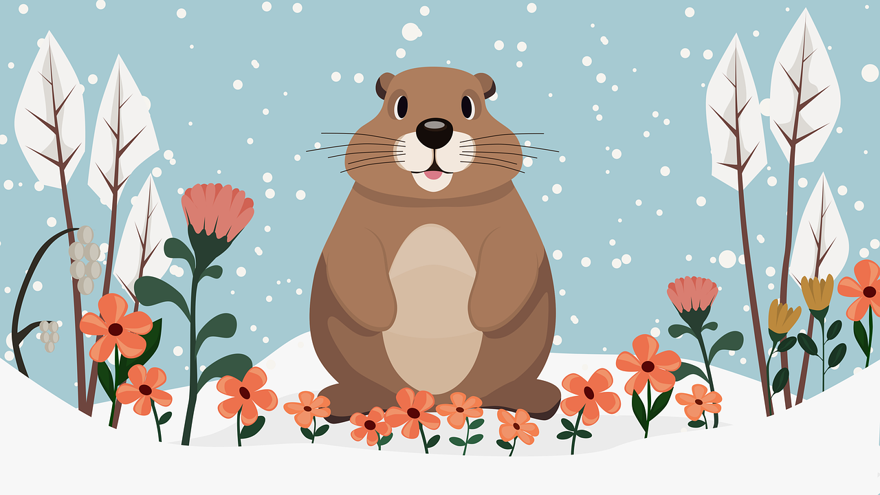 Profile picture for user SULEEWAN