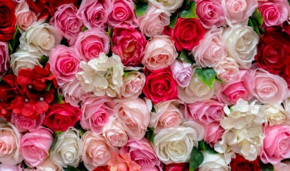 Profile picture for user RizwanaKhatri