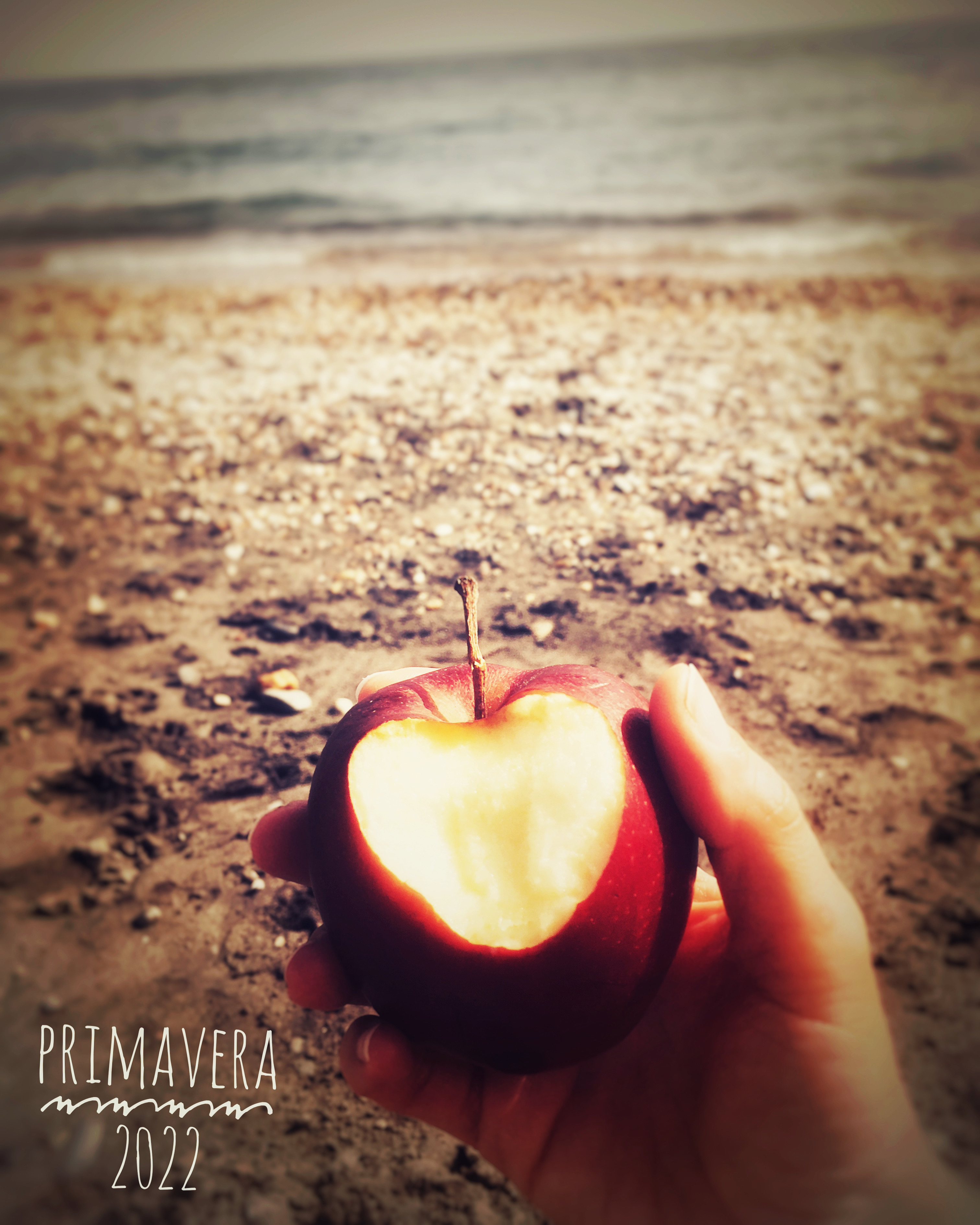 Profile picture for user CuoreDiBambina