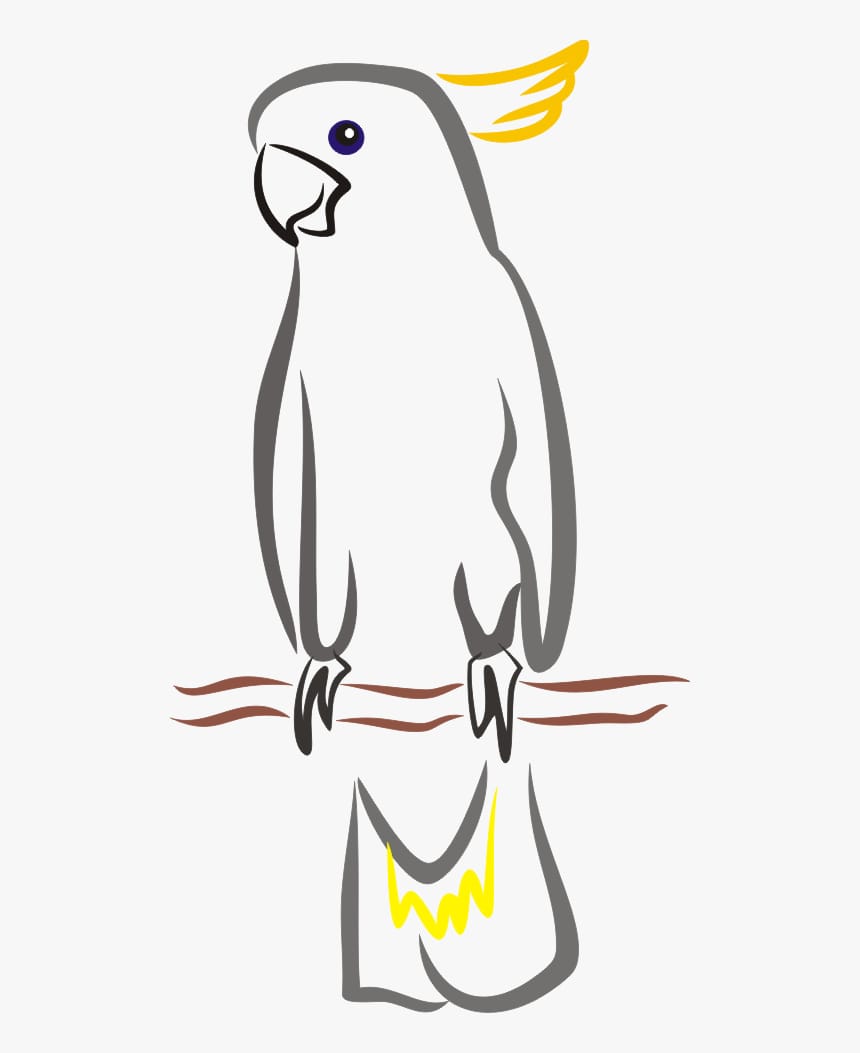 Profile picture for user U_Zaim