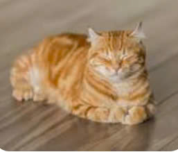 Profile picture for user Khanh122112