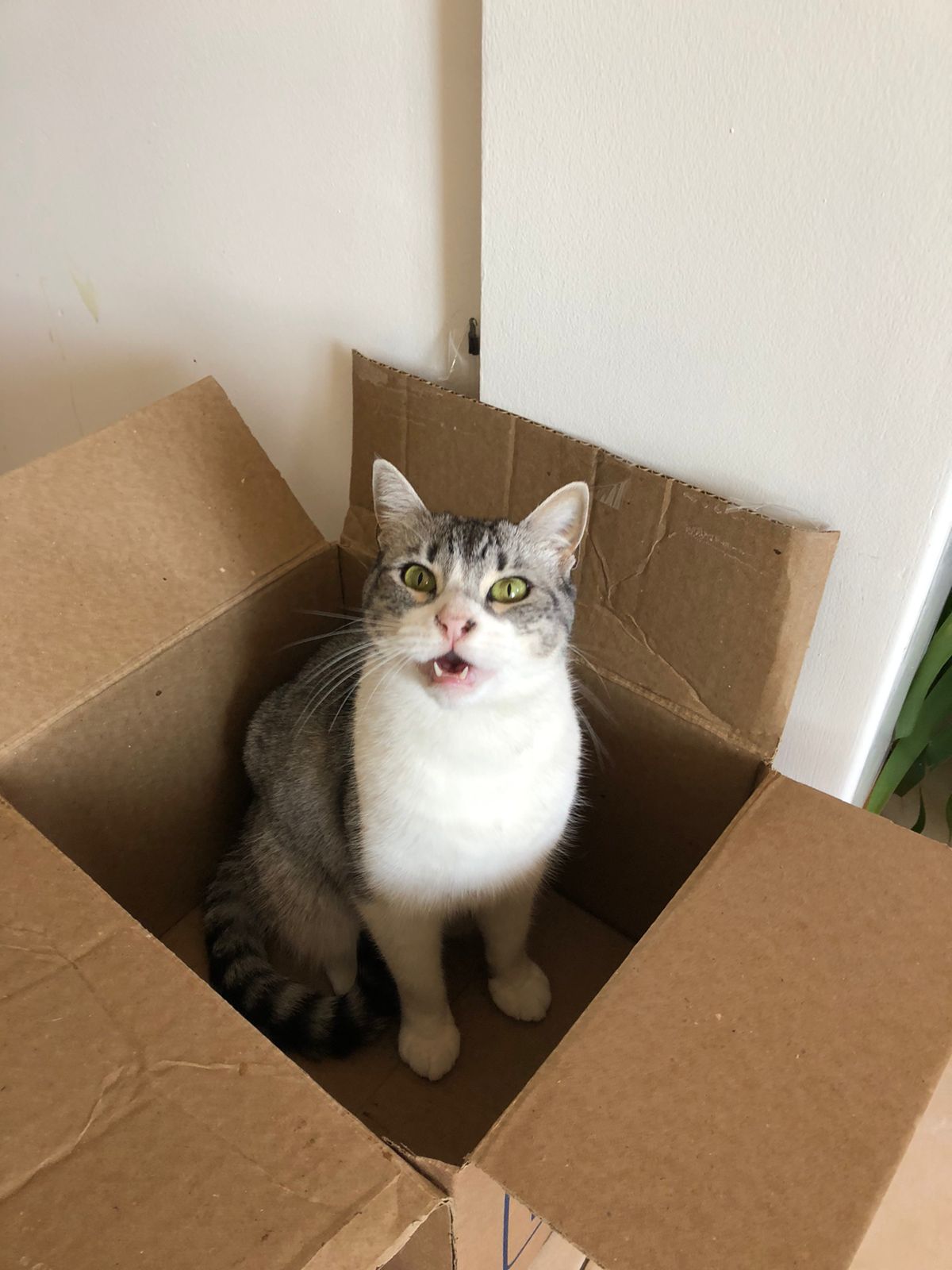 Profile picture for user missmichelleduhalde