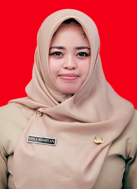 Profile picture for user NoviWidianti