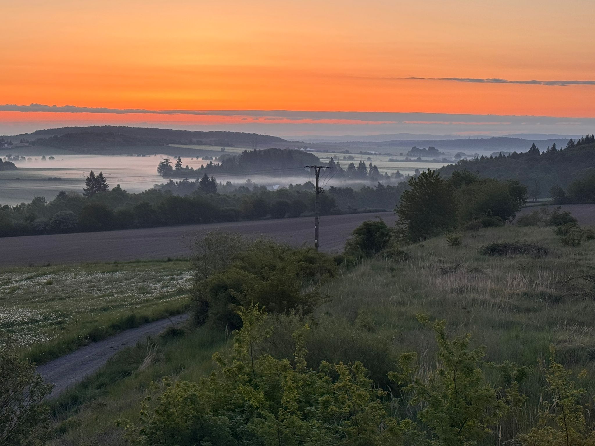 Profile picture for user Jenn1226