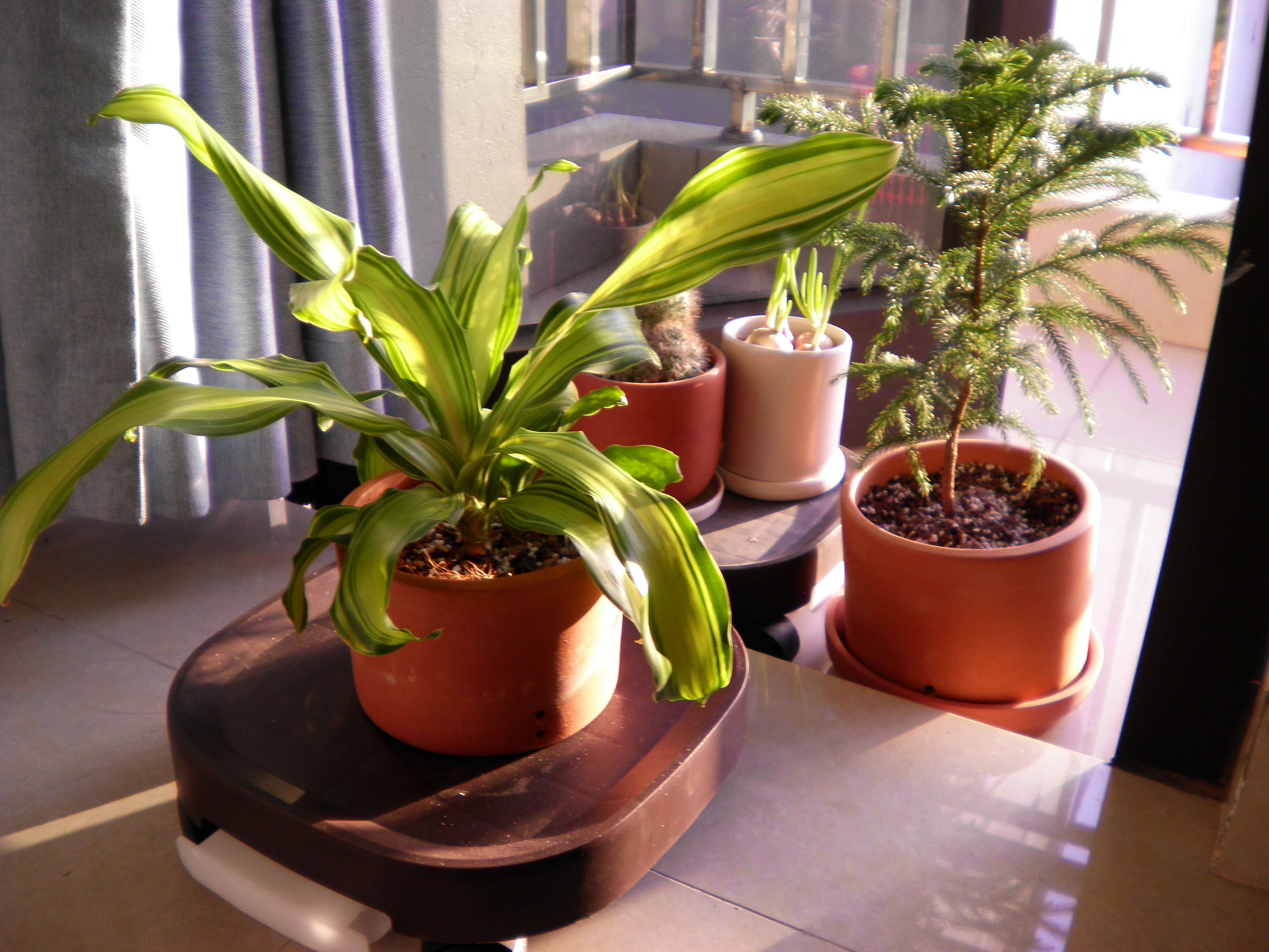 Profile picture for user PhuongKhanh