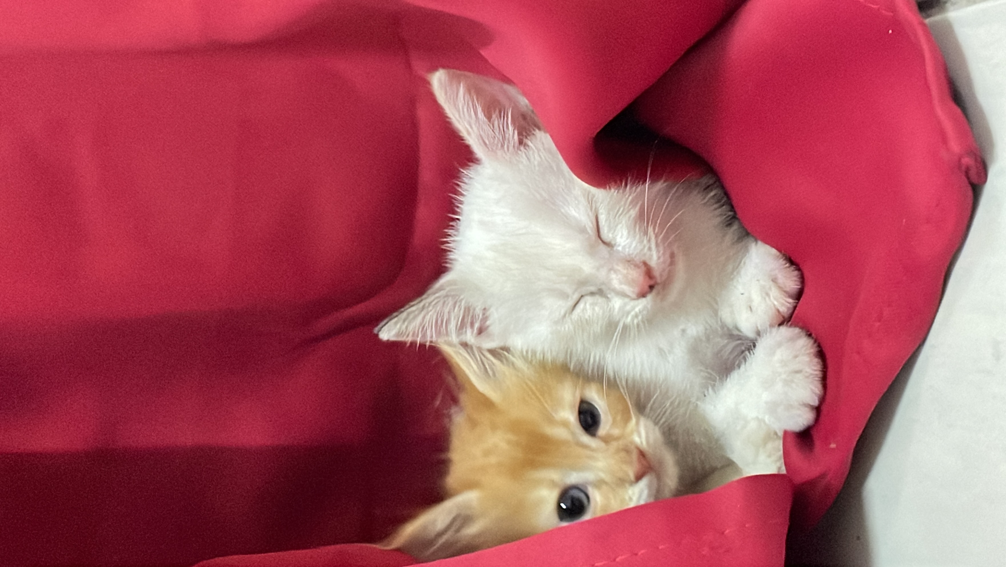 Profile picture for user iskah00