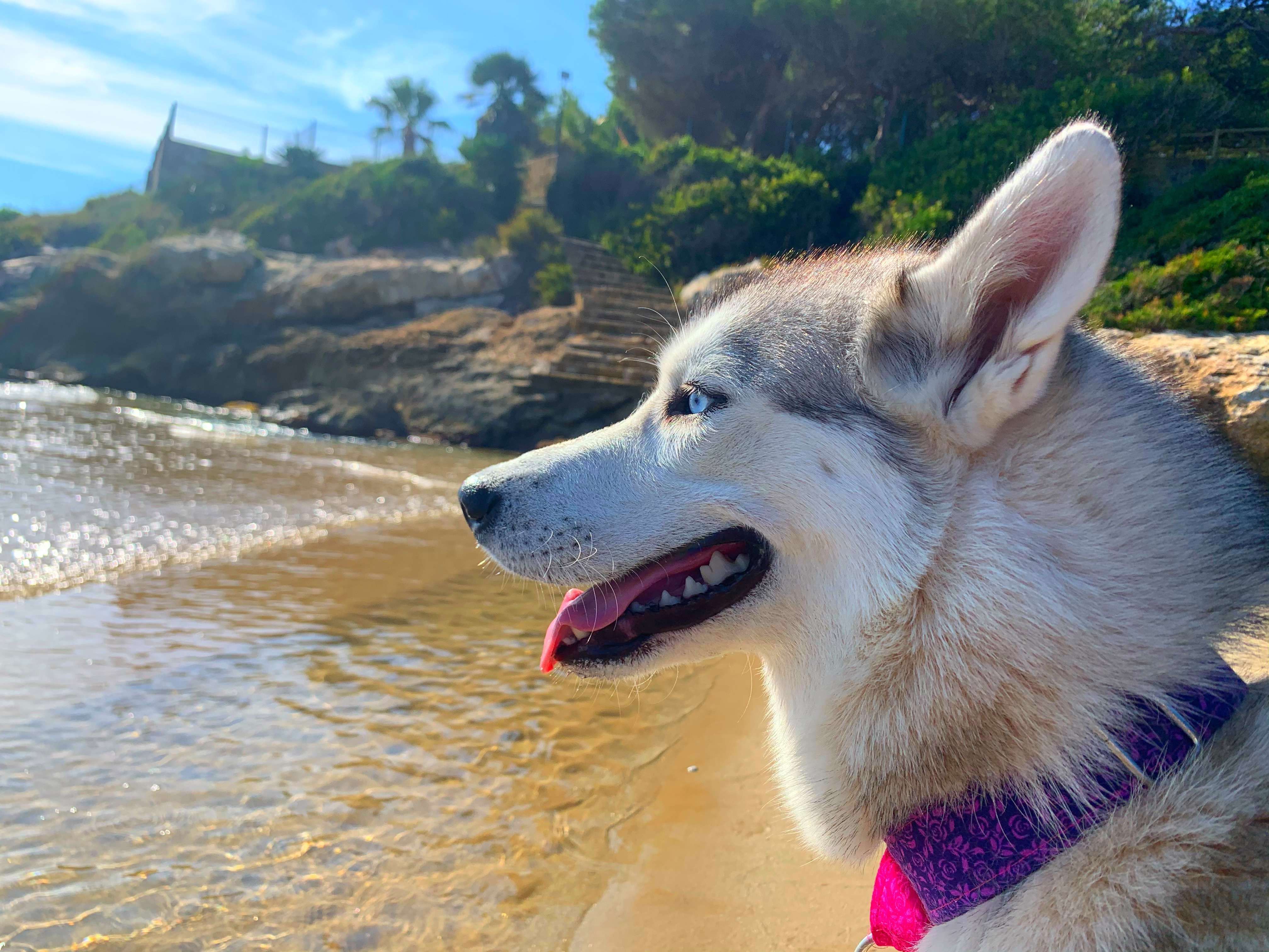 Profile picture for user Cora_gamo13