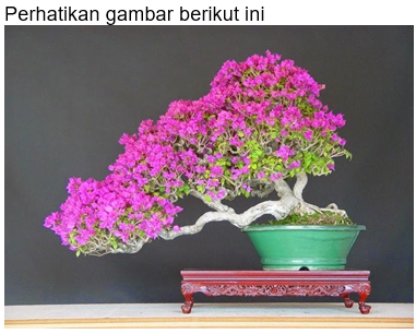 Profile picture for user Abdul_Kohar