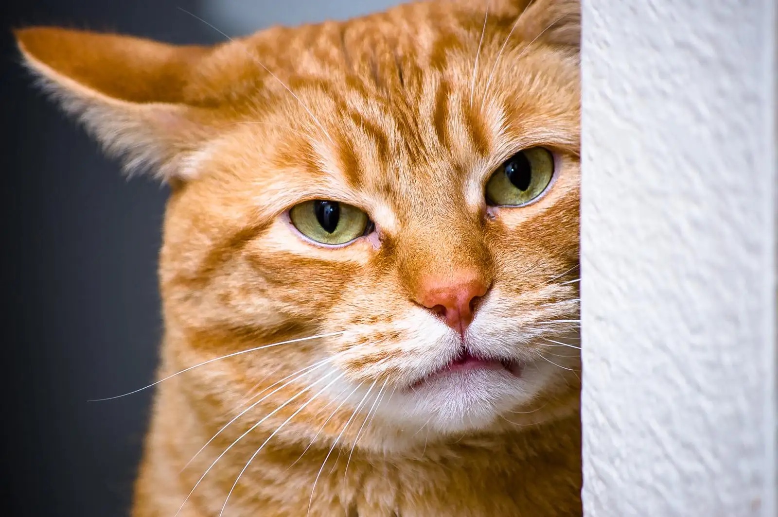 Profile picture for user Kru-beauty25sss