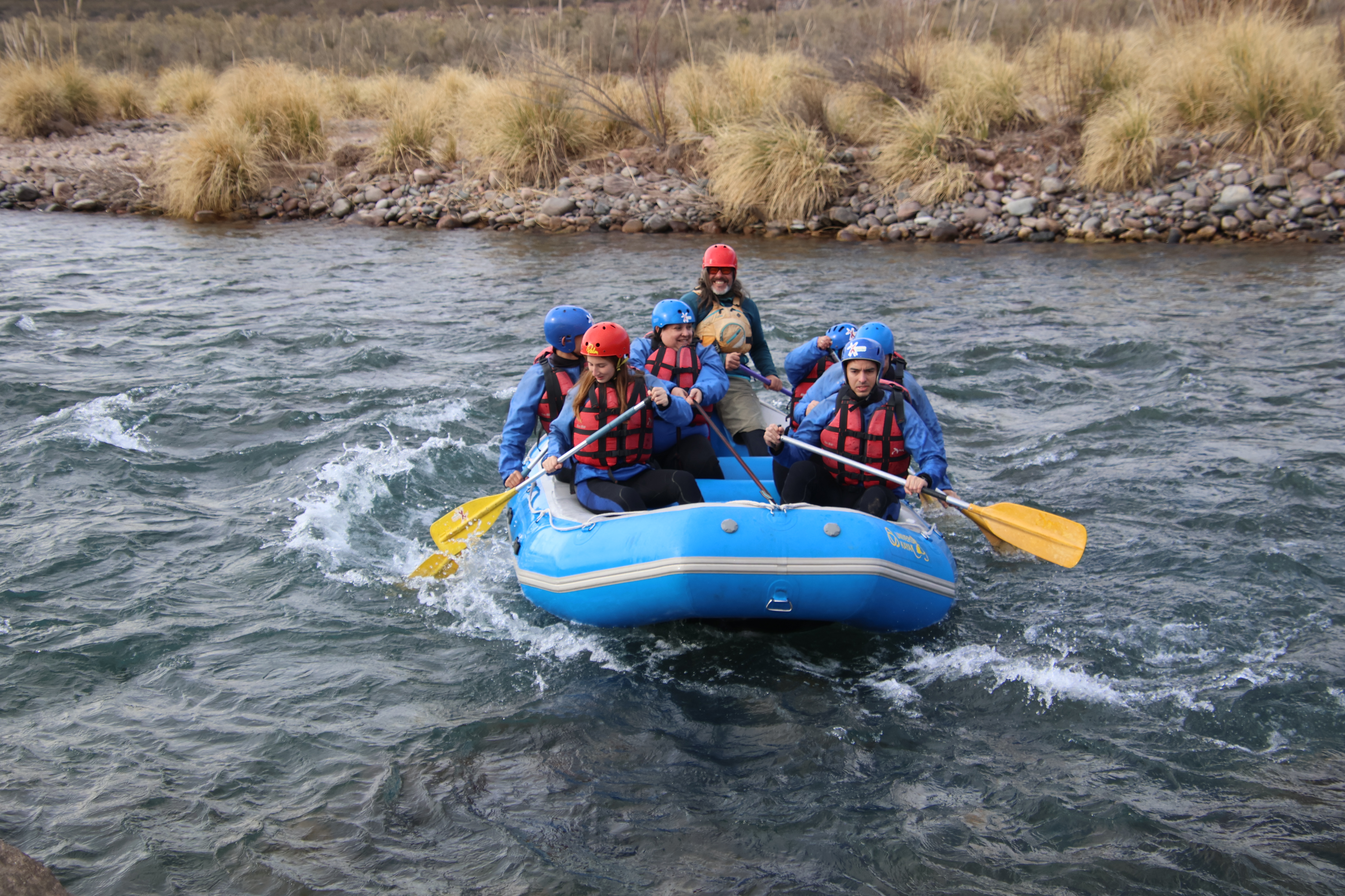 Profile picture for user elicecie6