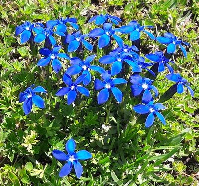 Profile picture for user HDel