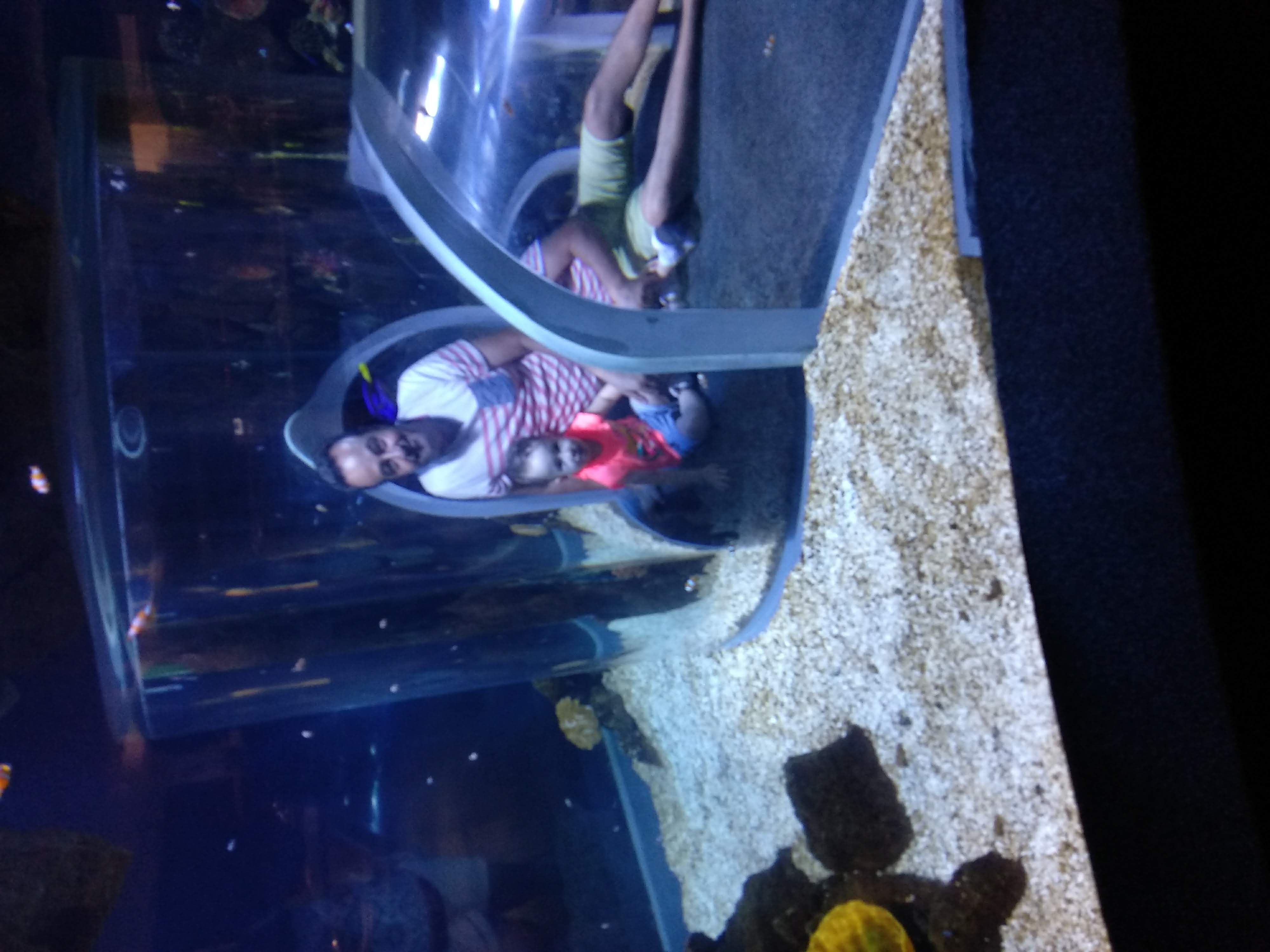 Profile picture for user jgutmej