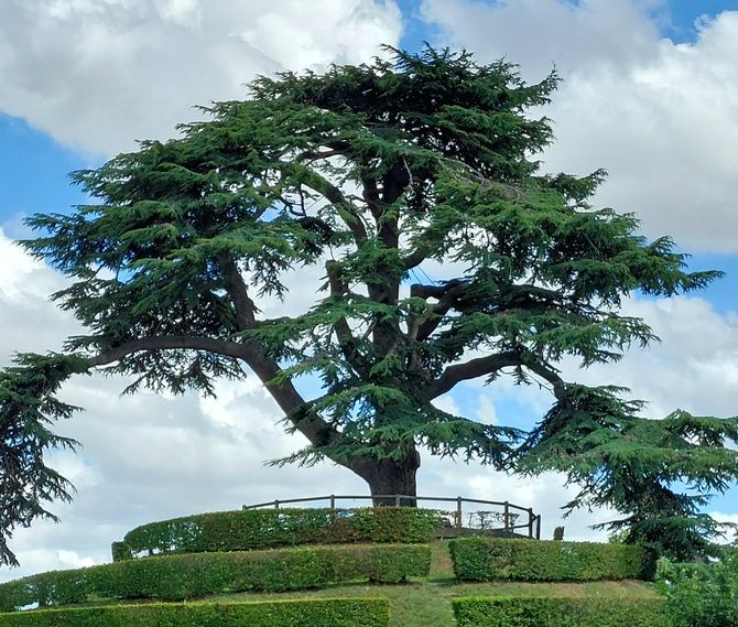 Profile picture for user Mrs_Delcourt