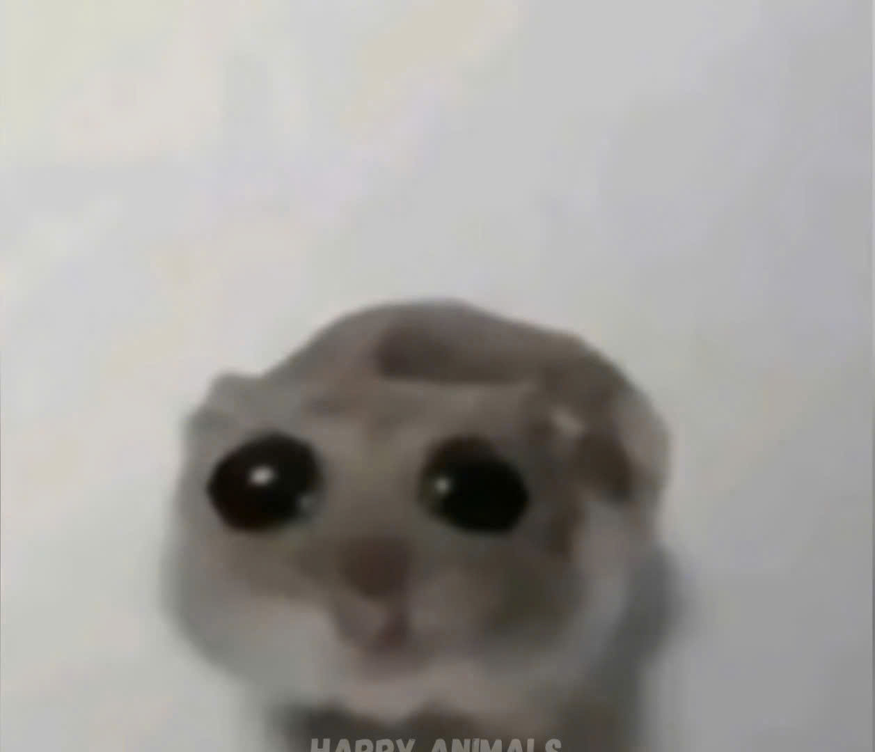 Profile picture for user hoa_29