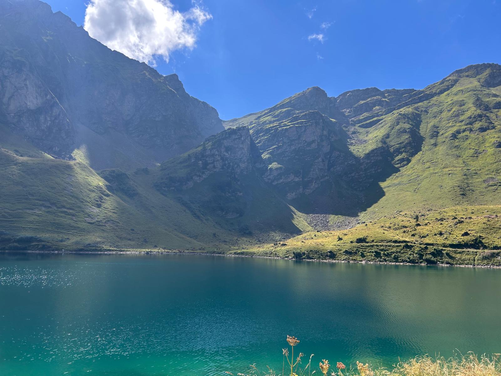 Profile picture for user angelina2020